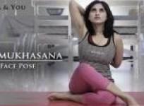 gomukhasana-cow-face-pose