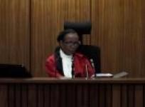 gun-licenser-says-pistorius-had-sound-knowledge-of-gun-laws