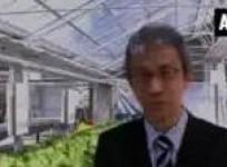 japanese-companies-use-ict-to-boost-farming