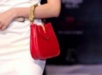 carry-it-with-style