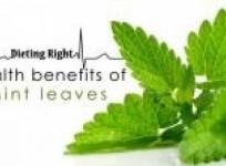 health-benefits-of-mint-leaves