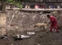 seven-dead-in-mexico-landslide