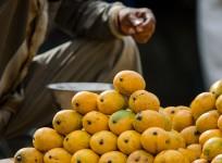 Mangoes