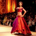 a-grand-reminiscence-of-the-mughal-era