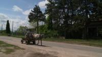 in-rasovo-in-northwest-bulgaria-the-most-impoverished-area-of-the-eus-poorest-country-life-remains-tough-despite-seven-years-of-european-union-membership-duration-0203