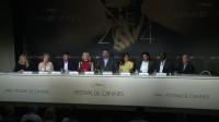 cannes-presents-how-to-train-your-dragon-2