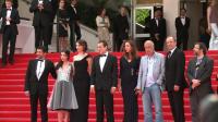 cannes-red-carpet-goodbye-to-language