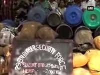 security-forces-seize-cannabis-from-indian-villages-bordering-bangladesh