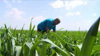 ukraine-turmoil-threatens-farmers-and-global-markets