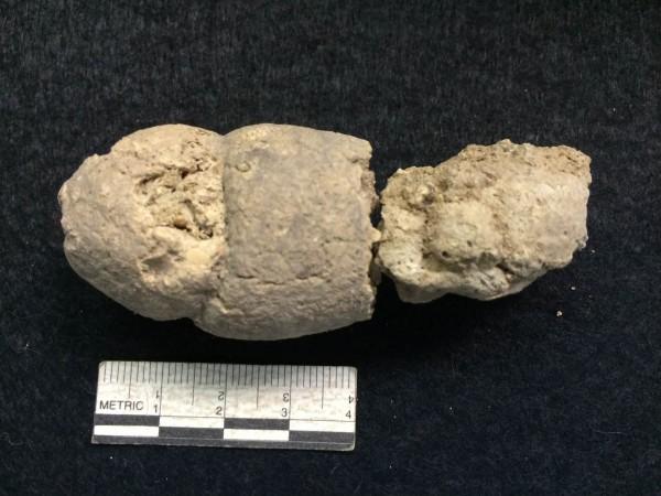 1,500 year-old fossilizes feces (coprolite) discovered in Vieques, Puerto Rico. "The study of the paleomicrobiome of coprolites supports the hypothesis of multiple ancestries and can provide important evidence regarding migration by ancestral cultures and