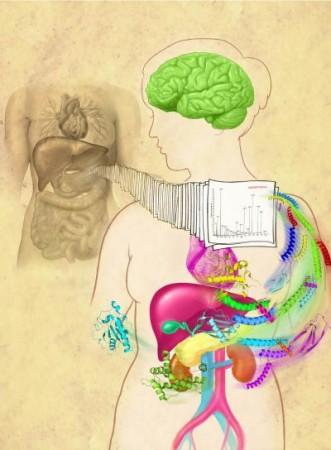 Human Proteome