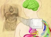 Human Proteome