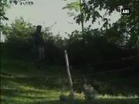 suspected-let-commander-abu-kasha-killed-in-jandk-encounter