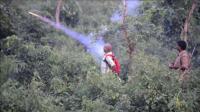 firecrackers-used-to-scare-foraging-elephants-in-india