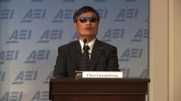 blind-chinese-dissident-chen-encourages-tiananmen-commemoration