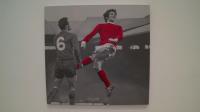 football-exhibition-in-la-20-years-after-world-cup