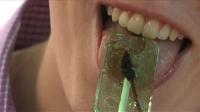 adventures-in-dining-grasshopper-burgers-scorpion-lollipops
