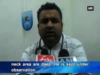 leopard-injures-9-year-old-in-kashmir