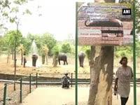 zoo-animals-in-chennai-enjoy-water-sprinklers-special-food-to-cope-with-extreme-heat