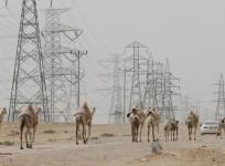 Electricity