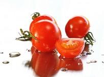 Tomatoes