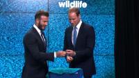 prince-william-beckham-join-forces-to-protect-wildlife