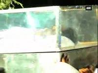 politicos-in-maharashtra-demand-probe-into-mundes-death