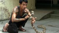 death-in-the-long-grass-myanmars-snake-bite-menace