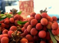 Litchi (Lychee)