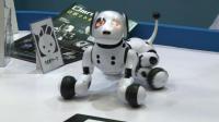 new-generation-of-toy-robots-at-tokyo-toy-show
