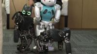 us-students-show-off-robots-playing-football