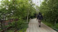 new-yorks-high-line-celebrates-fifth-birthday