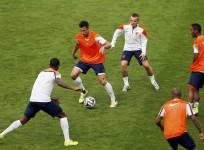 Van Persie Netherlands