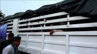cambodia-worker-exodus-from-thailand-hits-220000