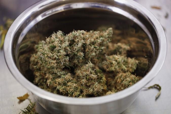 The New York is to allow limited access to medical marijuana in the state, making it the 23rd US state where cannabis are made available for therapeutic purposes. The New York is to allow limited access to medical marijuana in the state, making it the 23rd US state where cannabis are made available for therapeutic purposes.