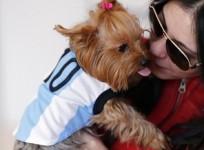 'Love Hormone' Spray make Dogs more Affectionate to Owners; Researchers Find (Reuters)