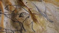 french-cave-home-to-earliest-drawings-wins-world-heritage-status