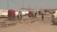 iraqis-seek-shelter-from-battles-and-privation