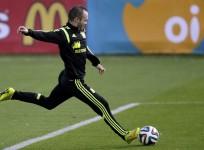 Andres Iniesta Spain