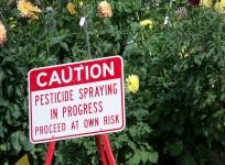 Pesticides