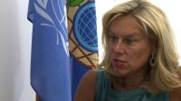 watchdog-all-of-syrias-chemical-weapons-removed