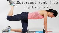 quadruped-bent-knee-hip-extension