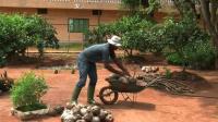 organic-farm-in-benin-sows-example-for-africa