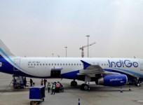 IndiGo