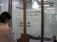 japan-promotes-its-traditions-through-and-food-and-beauty-products
