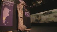 bones-from-largest-dinosaur-ever-displayed-in-patagonia