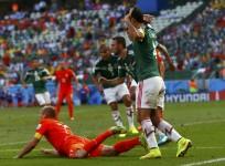 Robben