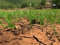 farmers-await-rains-after-slow-start-to-monsoon