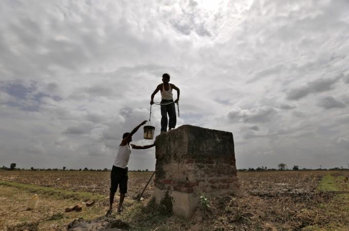 Representational Image. Monsoon and Agriculture (When will Indian agriculture sector gets an industrial status?- a representational picture)