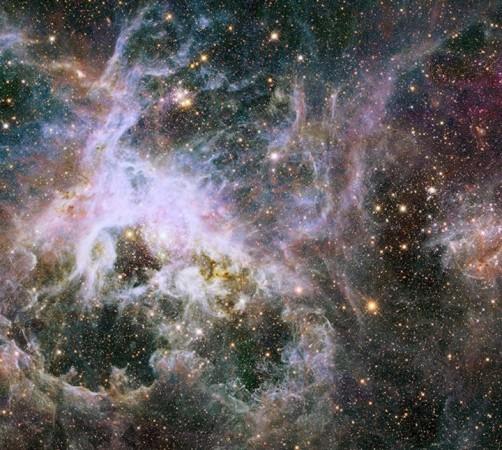 The Tarantula Nebula The Tarantula Nebula